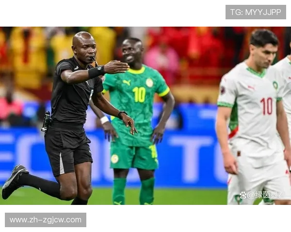 非洲杯决赛争议瞬间：塞内加尔补时绝杀被吹引球员离场抗议